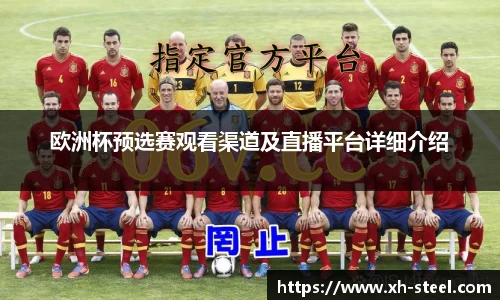 欧洲杯预选赛观看渠道及直播平台详细介绍